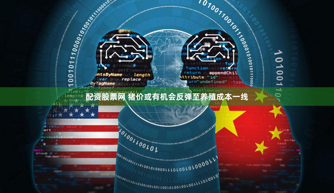 配资股票网 猪价或有机会反弹至养殖成本一线