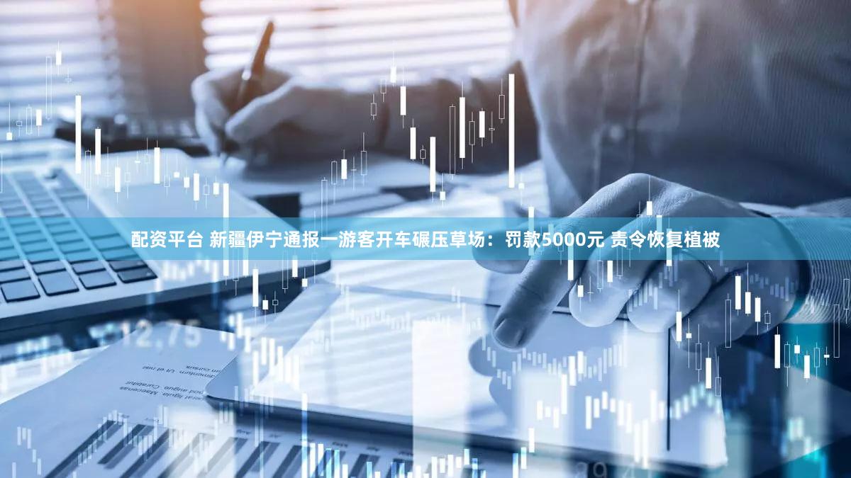 配资平台 新疆伊宁通报一游客开车碾压草场：罚款5000元 责令恢复植被