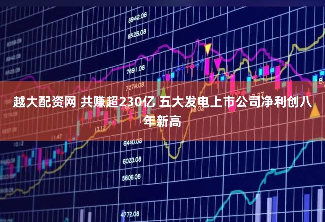 越大配资网 共赚超230亿 五大发电上市公司净利创八年新高