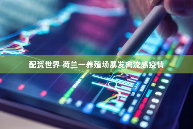 配资世界 荷兰一养殖场暴发禽流感疫情