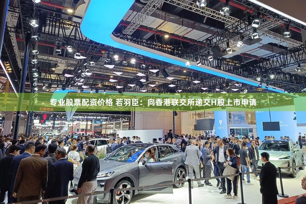 专业股票配资价格 若羽臣：向香港联交所递交H股上市申请