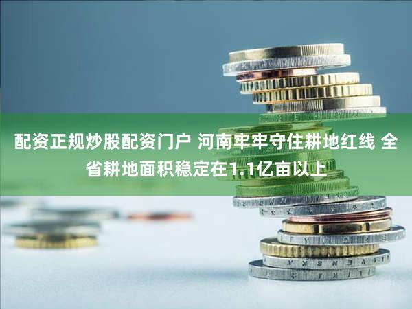 配资正规炒股配资门户 河南牢牢守住耕地红线 全省耕地面积稳定在1.1亿亩以上