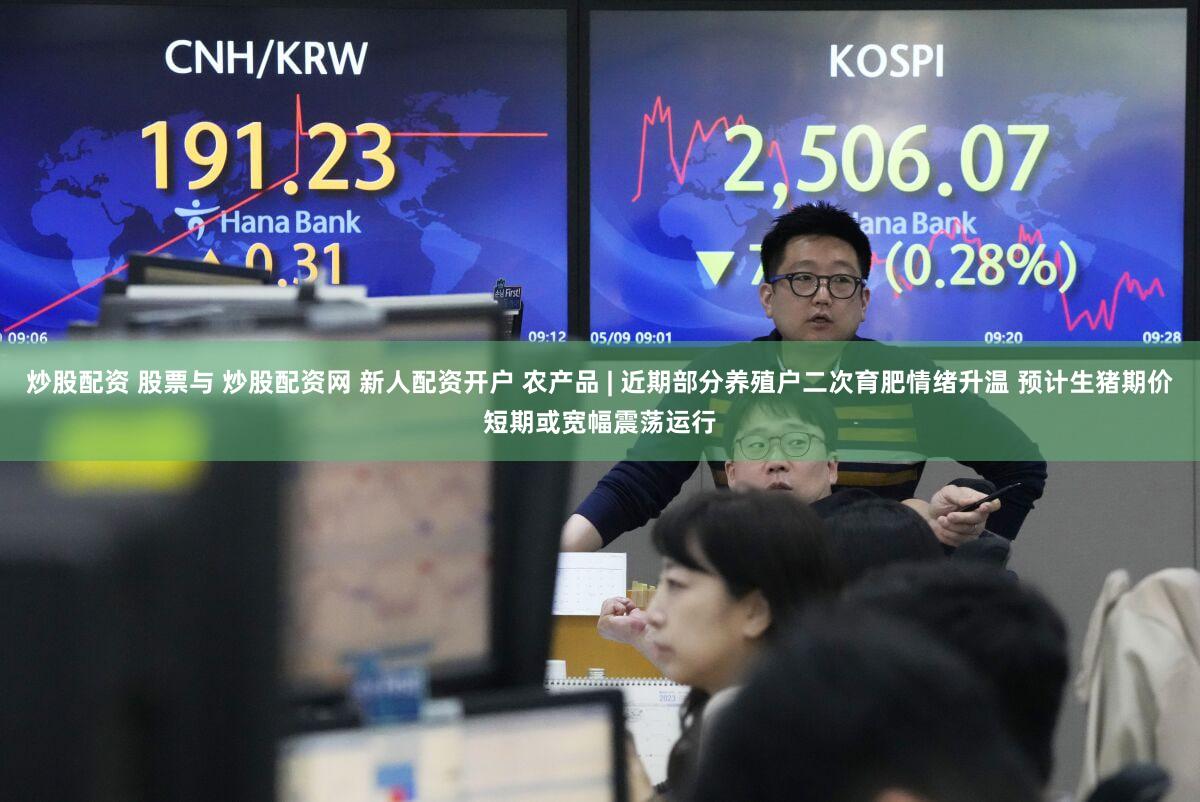 炒股配资 股票与 炒股配资网 新人配资开户 农产品 | 近期部分养殖户二次育肥情绪升温 预计生猪期价短期或宽幅震荡运行