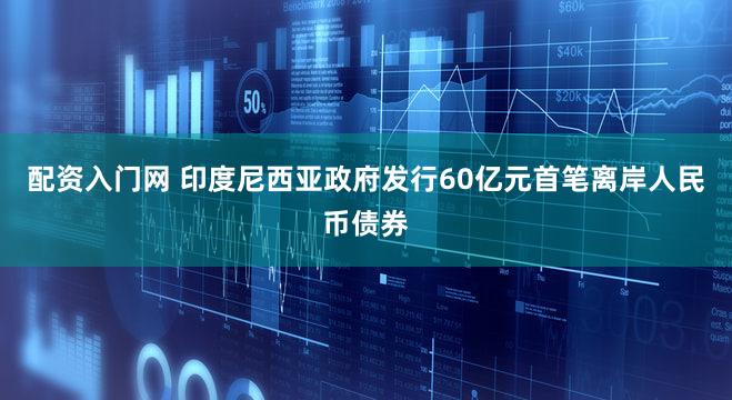 配资入门网 印度尼西亚政府发行60亿元首笔离岸人民币债券