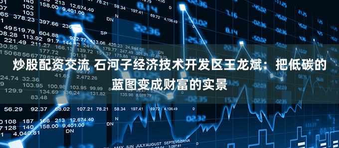 炒股配资交流 石河子经济技术开发区王龙斌：把低碳的蓝图变成财富的实景