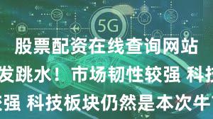 股票配资在线查询网站 尾盘突发跳水！市场韧性较强 科技板块仍然是本次牛市主线